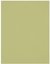 Westcott X Drop Kreukbestendige Achtergrond Mos Groen (1.5 x 2.1 m)