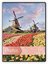 Zep Slip-In Album Set 36x MV5740 Viaggio for 40 Photos 13x19 cm