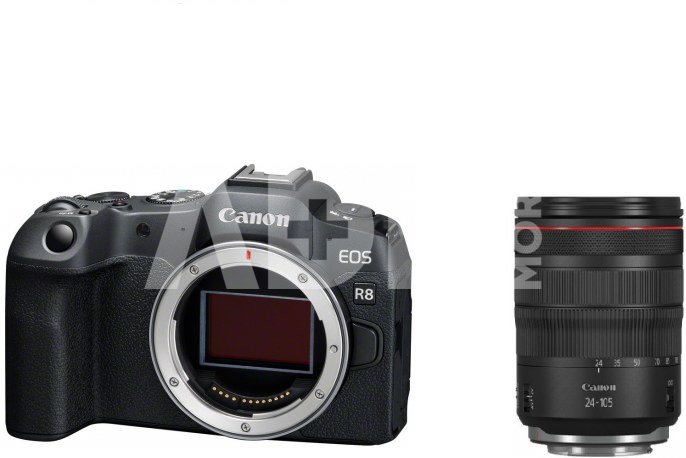 Canon EOS R8 + RF 24-105 F4 L IS USM - Mirrorless cameras