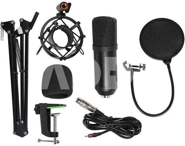 Tracer 46163 Studio Pro - Microphone - Microphones -outofstock |  Fotoaparatas.lt