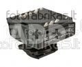 Adapteris blykstei Metz SCA