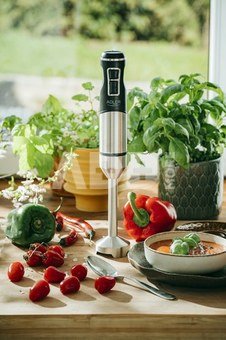 Adler | Hand Blender | AD 4628 | Hand Blender | 1900 W | Ice crushing | Stainless Steel/Black