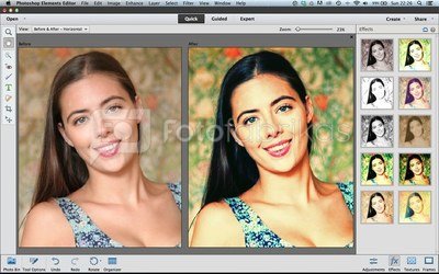 Adobe Photoshop Elements 2024 Commercial/Government