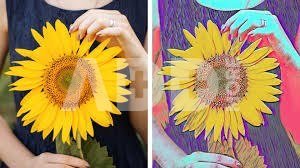 Adobe Photoshop Elements 2024 Education