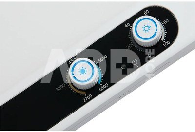Amaran Verge White