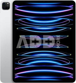 Apple iPad Pro 12,9 (6. Gen) 512GB Wi-Fi + Cell Space Grey