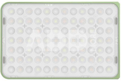 Amaran Ace 25c Kit Green