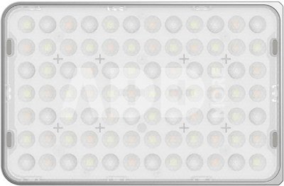 Amaran Ace 25c Silver