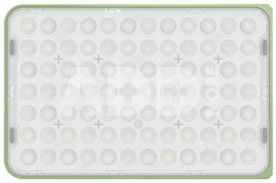 Amaran Ace 25x Green