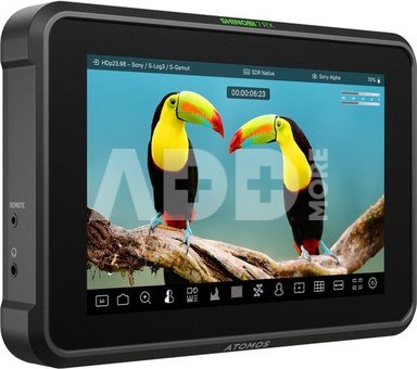 Atomos SHINOBI 7RX