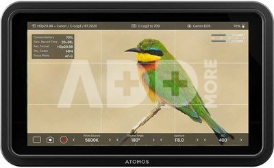Atomos Shinobi II