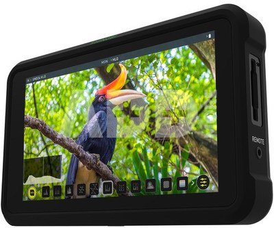 Atomos Shinobi video monitorius