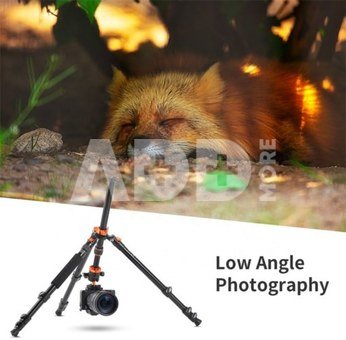 Ball Head Quick Release Plate DSLR Tripod
