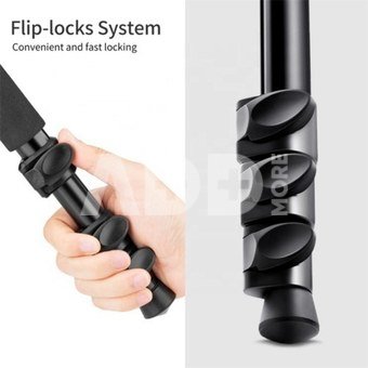 Ball Head Quick Release Plate DSLR Tripod