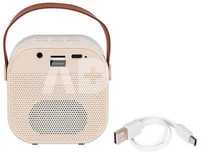 BLOW KARAOKE RGB Bluetooth Speaker