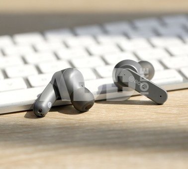 Boya wireless headset True Wireless BY-AP4, black