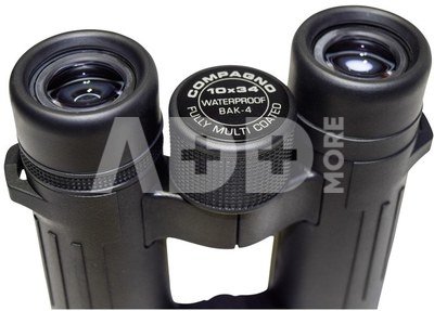 Braun Compagno 10x34 WP