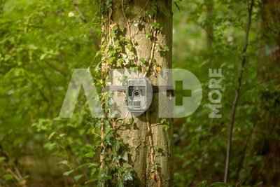 Camouflage trail camera SM4 Pro
