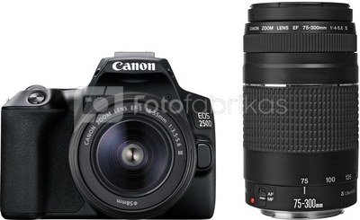 Canon EOS 250D + 18-55мм + 75-300мм Kit, черный