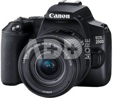 Canon EOS 250D + 18-55mm Kit - Juodas