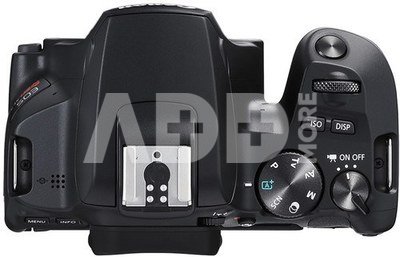 Canon EOS 250D Body