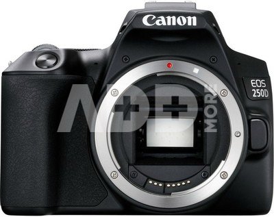 Canon EOS 250D Body