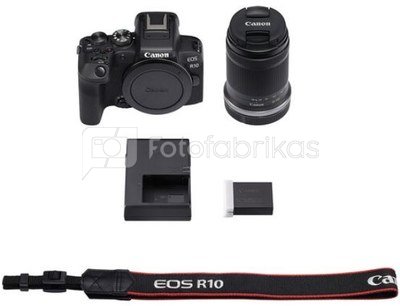 Canon EOS R10 + RF-S 18-150mm + Mount Adapter EF-EOS R