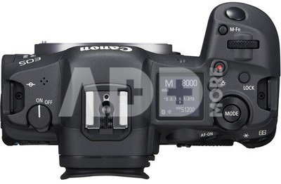CANON EOS R5 + RF 24-105MM F/4L IS USM