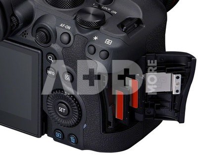 Canon EOS R6 Mark II + RF 24-105mm F4 L IS USM