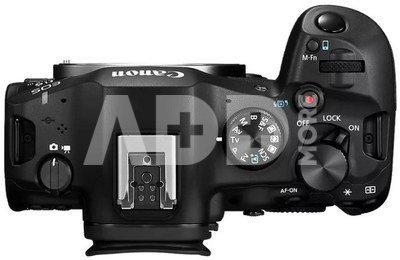 Canon EOS R6 Mark III + RF 24-105mm F4-7.1 IS STM