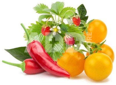 Click & Grow Plant Pod Fruit & Veggie Mix 9pcs
