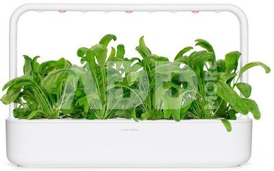 Click & Grow Smart Garden refill Mibuna 3pcs