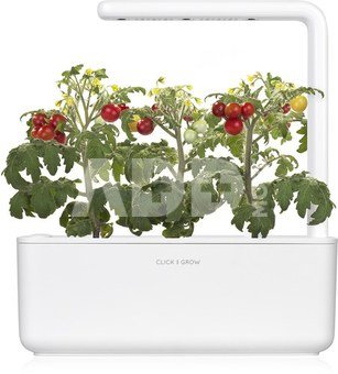 Click & Grow Smart Garden refill Mini Tomato 3pcs