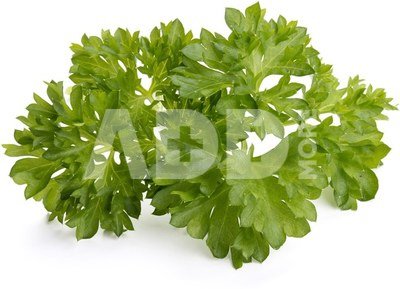 Click & Grow Smart Garden refill Parsley 3pcs