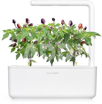 Click & Grow Smart Garden refill Purple Chili Pepper 3pcs