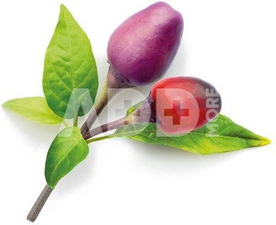 Click & Grow Smart Garden refill Purple Chili Pepper 3pcs