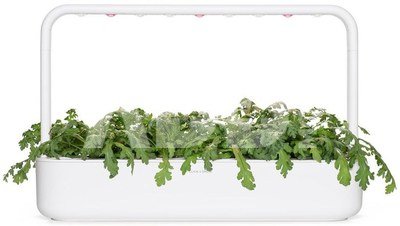 Click & Grow Smart Garden refill Shungiku 3pcs