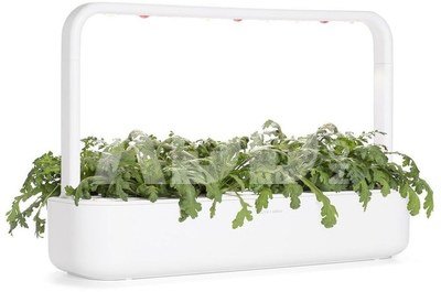 Click & Grow Smart Garden refill Shungiku 3pcs