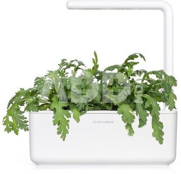 Click & Grow Smart Garden refill Shungiku 3pcs