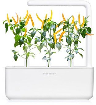 Click & Grow Smart Garden refill Yellow Chili 3pcs