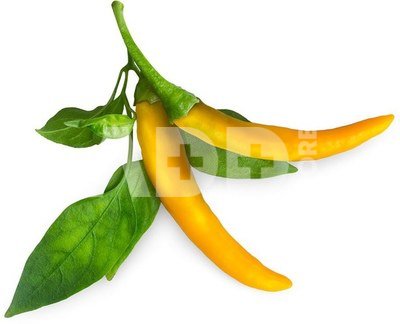 Click & Grow Smart Garden refill Yellow Chili 3pcs