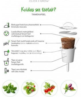 Click & Grow Smart Refill Italian Kale 3pcs