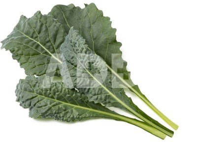 Click & Grow Smart Refill Italian Kale 3pcs
