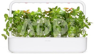 Click & Grow Smart Refill Lemon Basil 3pcs