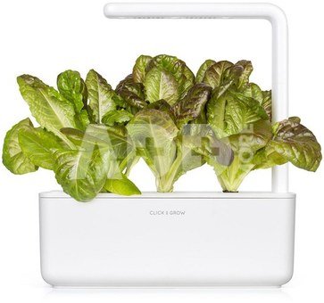 Click & Grow Smart Refill Red romaine lettuce 3pcs
