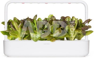 Click & Grow Smart Refill Red romaine lettuce 3pcs