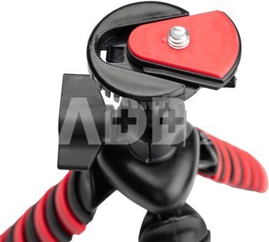 D-Fruit tripod Flexi S + phone adapter M