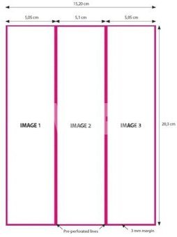 DNP Paper 2 Rolls
