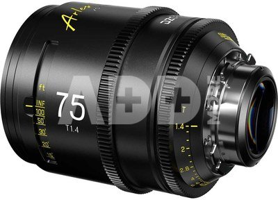DZO Optics DZOFilm Arles 75mm T1.4 FF/VV Prime Cine Lens (PL) (Metric)