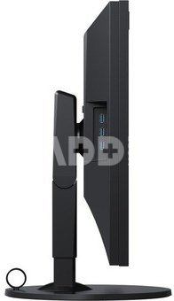 Eizo ColorEdge CG319X - 31.1" 17:9 - Hardware Calibration - IPS